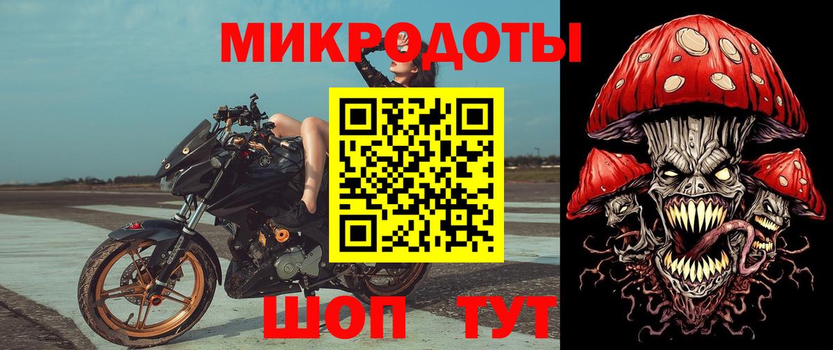 Псилоцибиновые грибы мицелий Фурманов